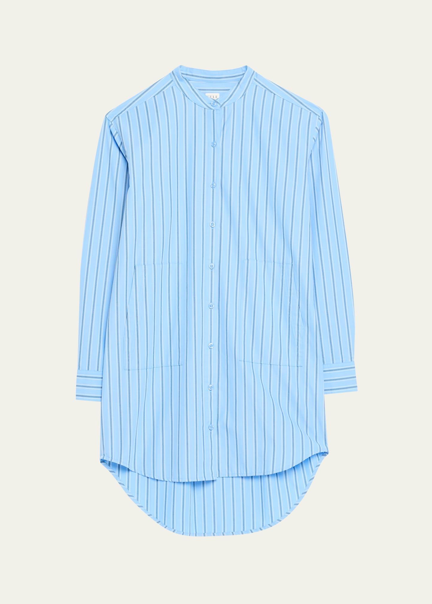 the anika striped shirtdress