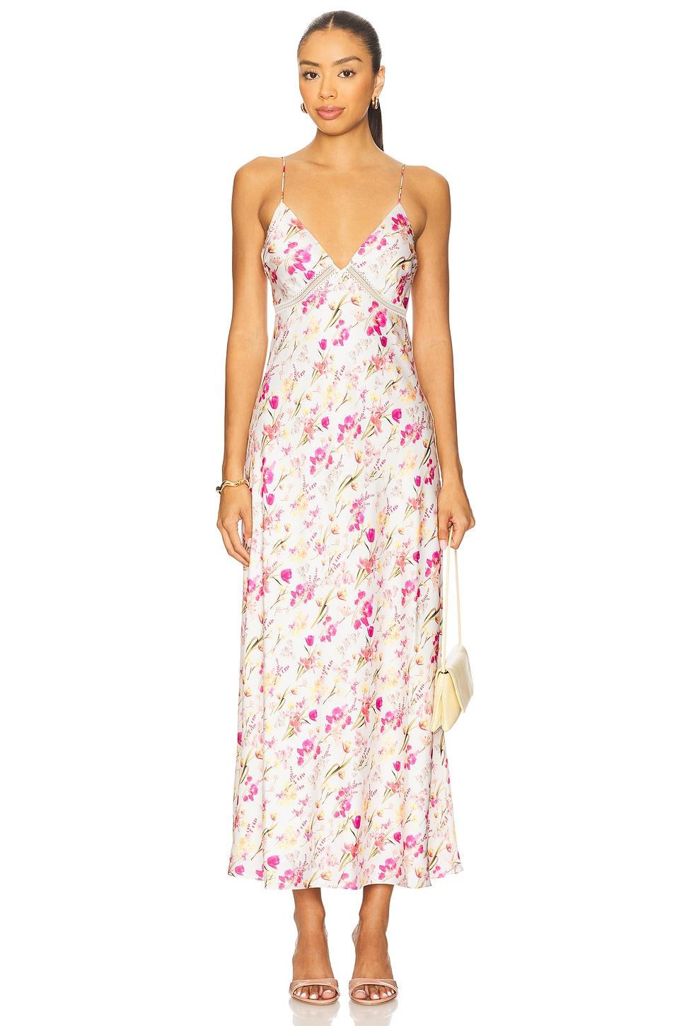 the blackberry dress