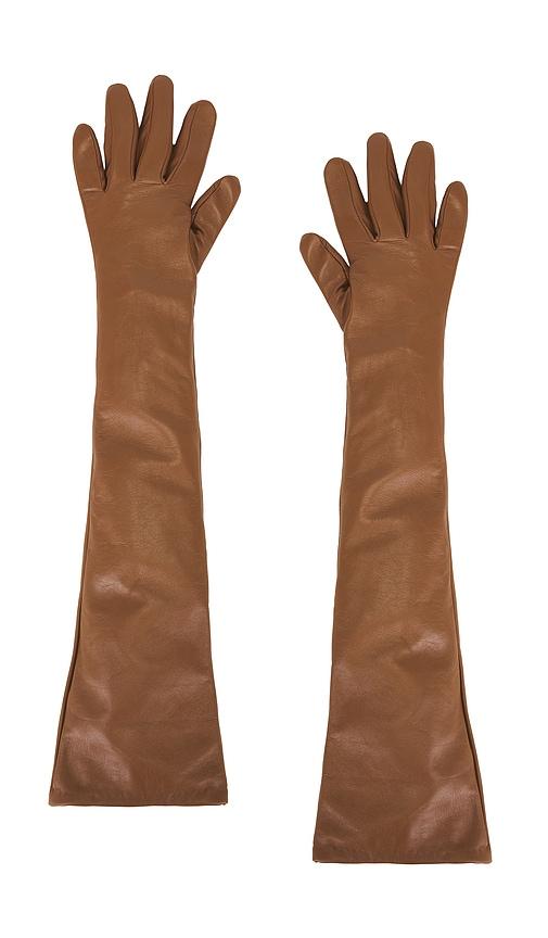the garment tg gloves in brown.