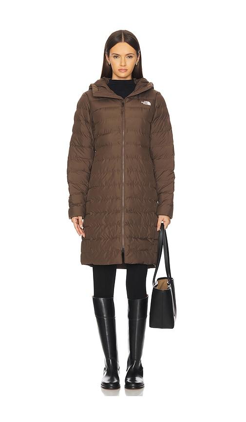 the north face aconcagua parka in brown.