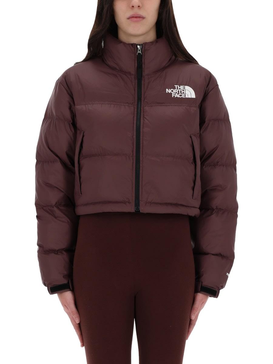 the north face jacket nuptse