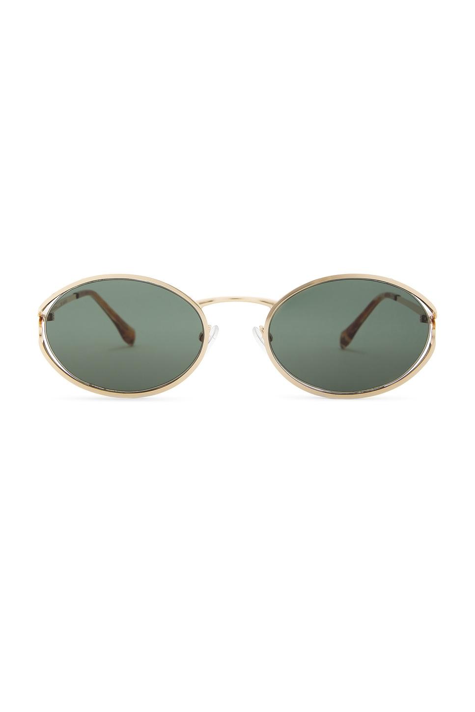 the sampaio sunglasses