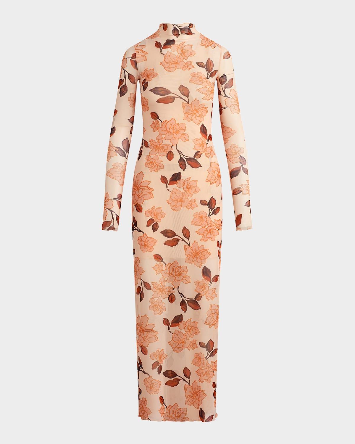 the sheer fantasy maxi dress