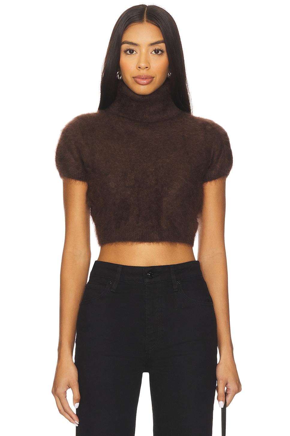 the teddy turtleneck