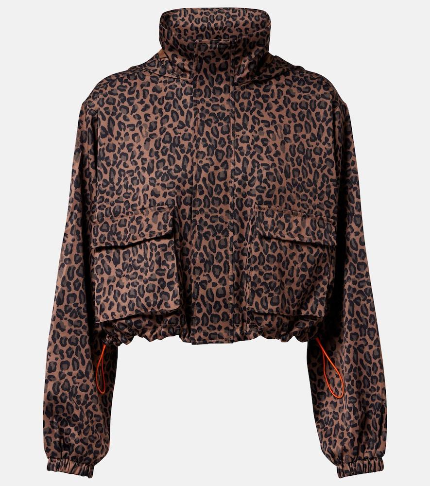the upside ludlow ace leopard