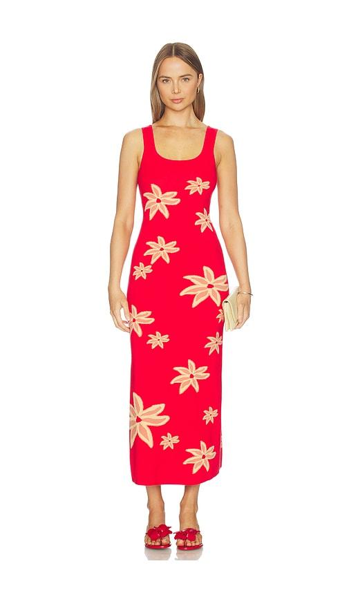 the wolf gang aggie maxi dress in red.