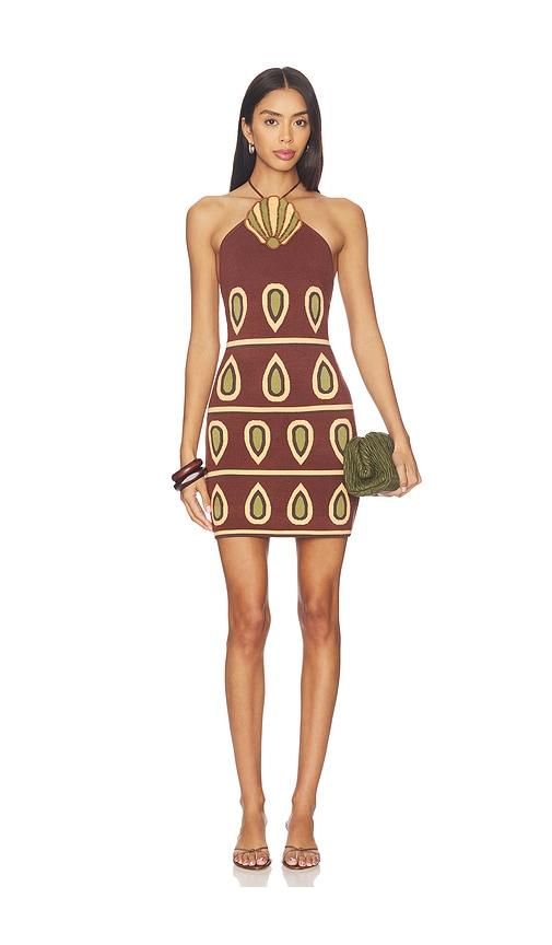 the wolf gang concha halter mini dress in chocolate.