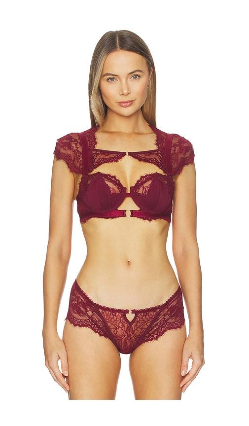 thistle and spire daphne bra in burgundy.