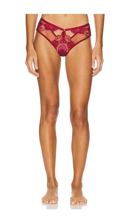 thistle and spire eye candy thong in burgundy.