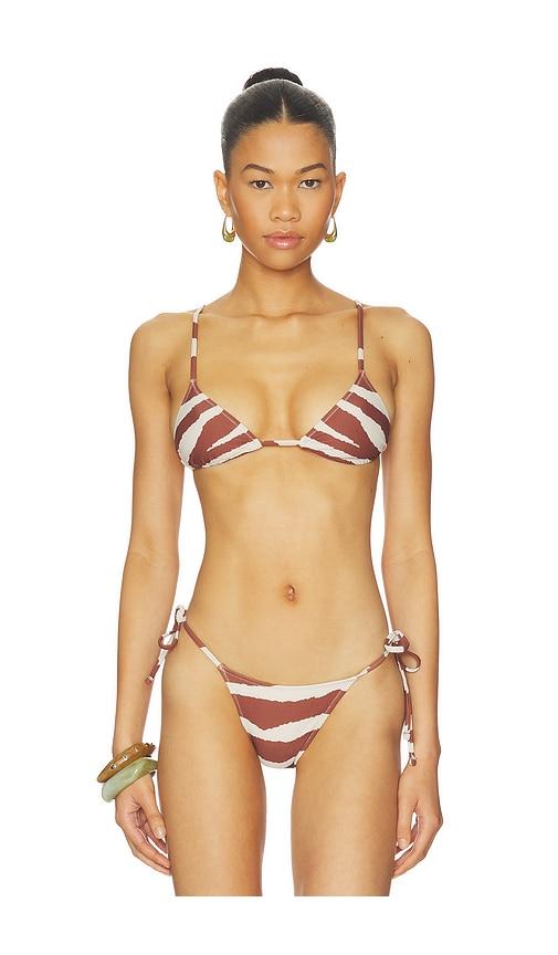 tropic of c equator bikini top in brown.