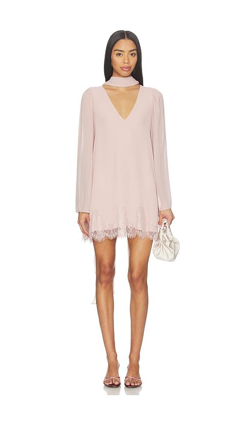 tularosa belinda mini dress in mauve.