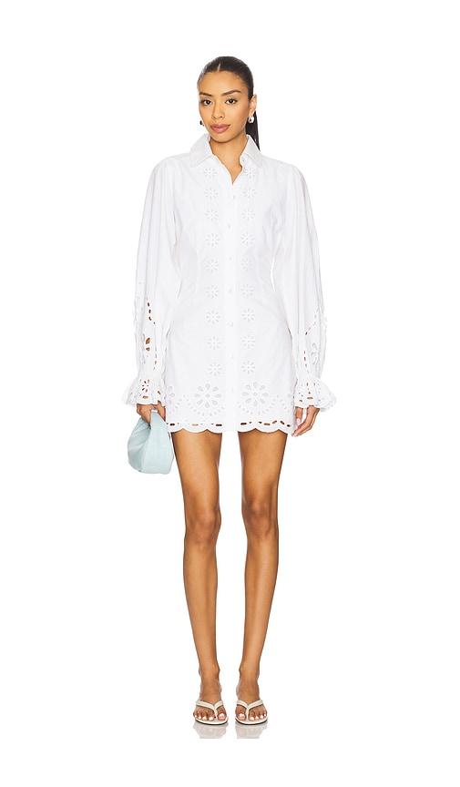 tularosa tessia mini dress in white.