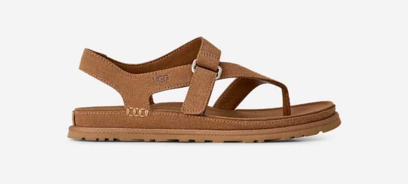ugg® women's goldengaze toe post suede sandals in chestnut,