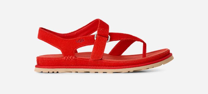 ugg® women's goldengaze toe post suede sandals in red pepper,