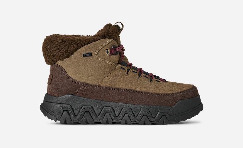 ugg® women's terretrail cozy lace suede/waterproof boots in dusted cocoa,