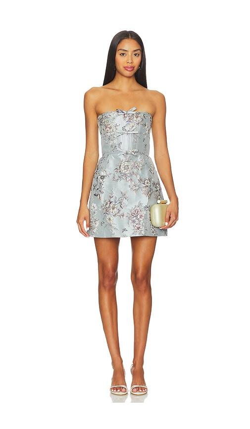 v. chapman kimberlina dress in baby blue.