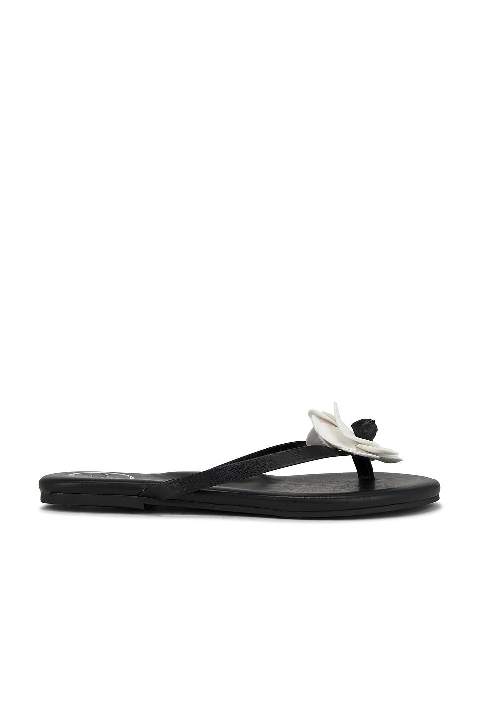 valentina sandal