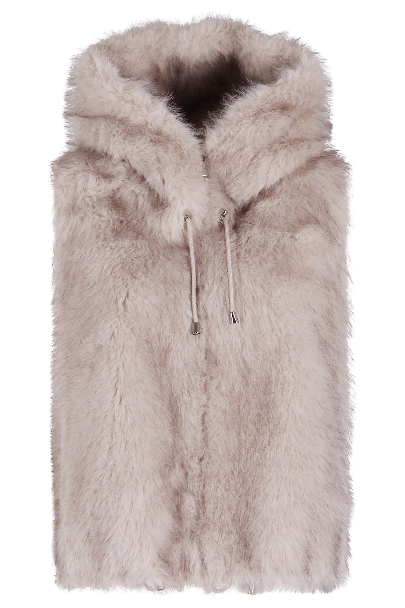 valentini 1972 eco zibellino