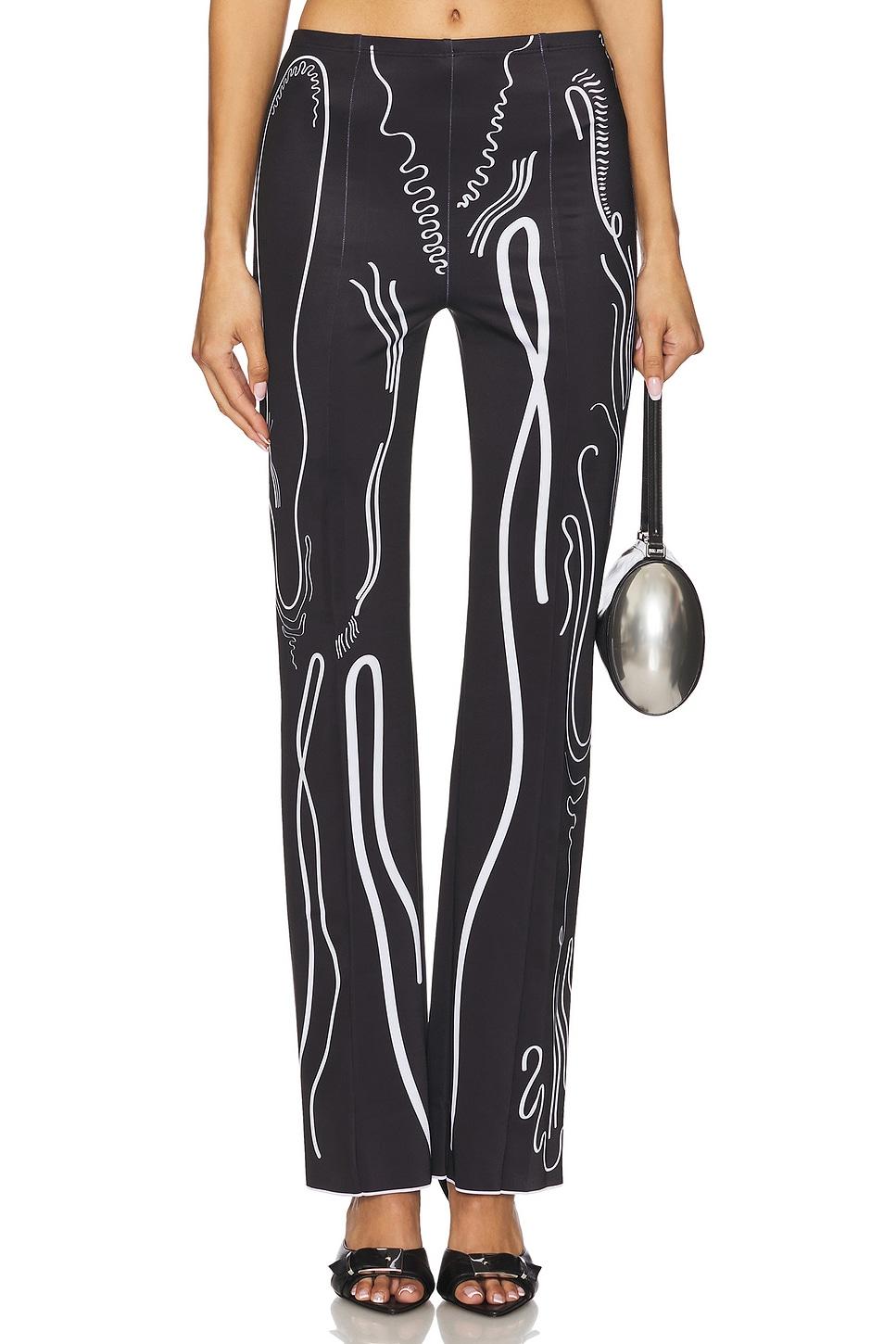 venus shell lycra trousers