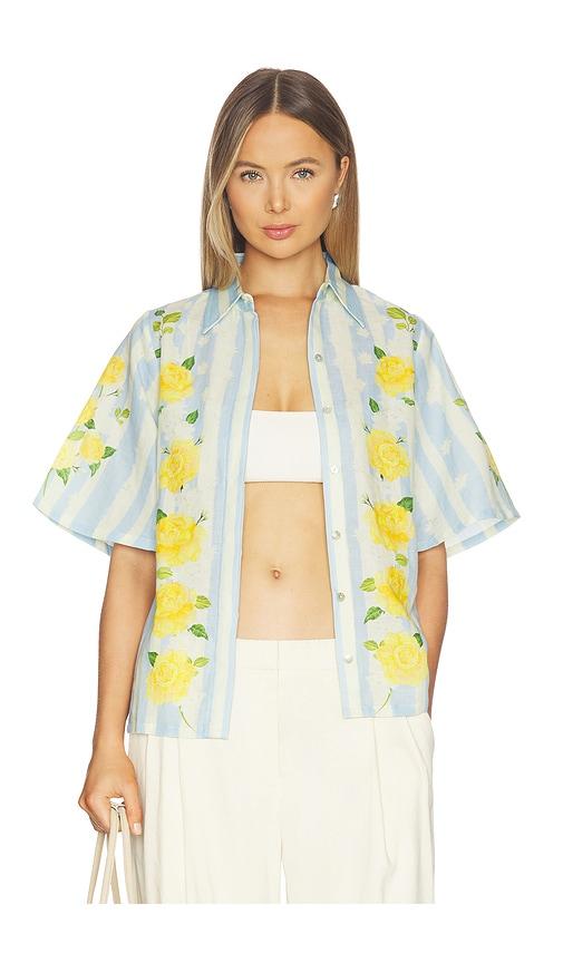 verandah blooming roses and stripes shirt in baby blue,yellow.