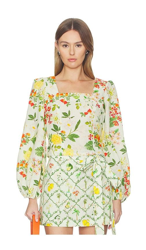 verandah square neck crop blouse in mint,green.