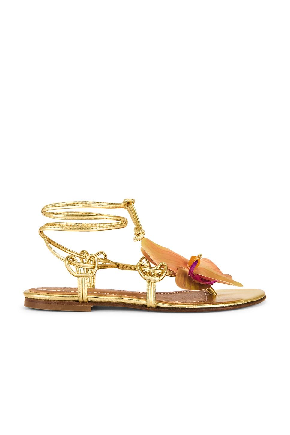 victoria sandal