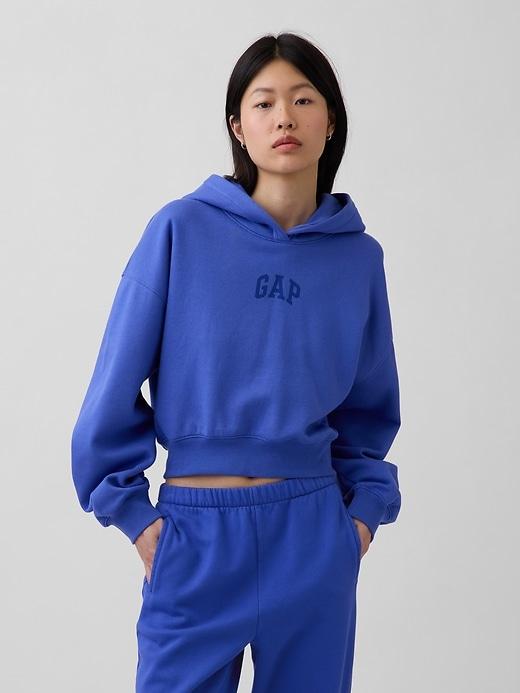 vintagesoft oversized crop logo hoodie
