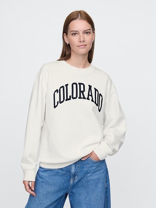 vintagesoft state logo sweatshirt