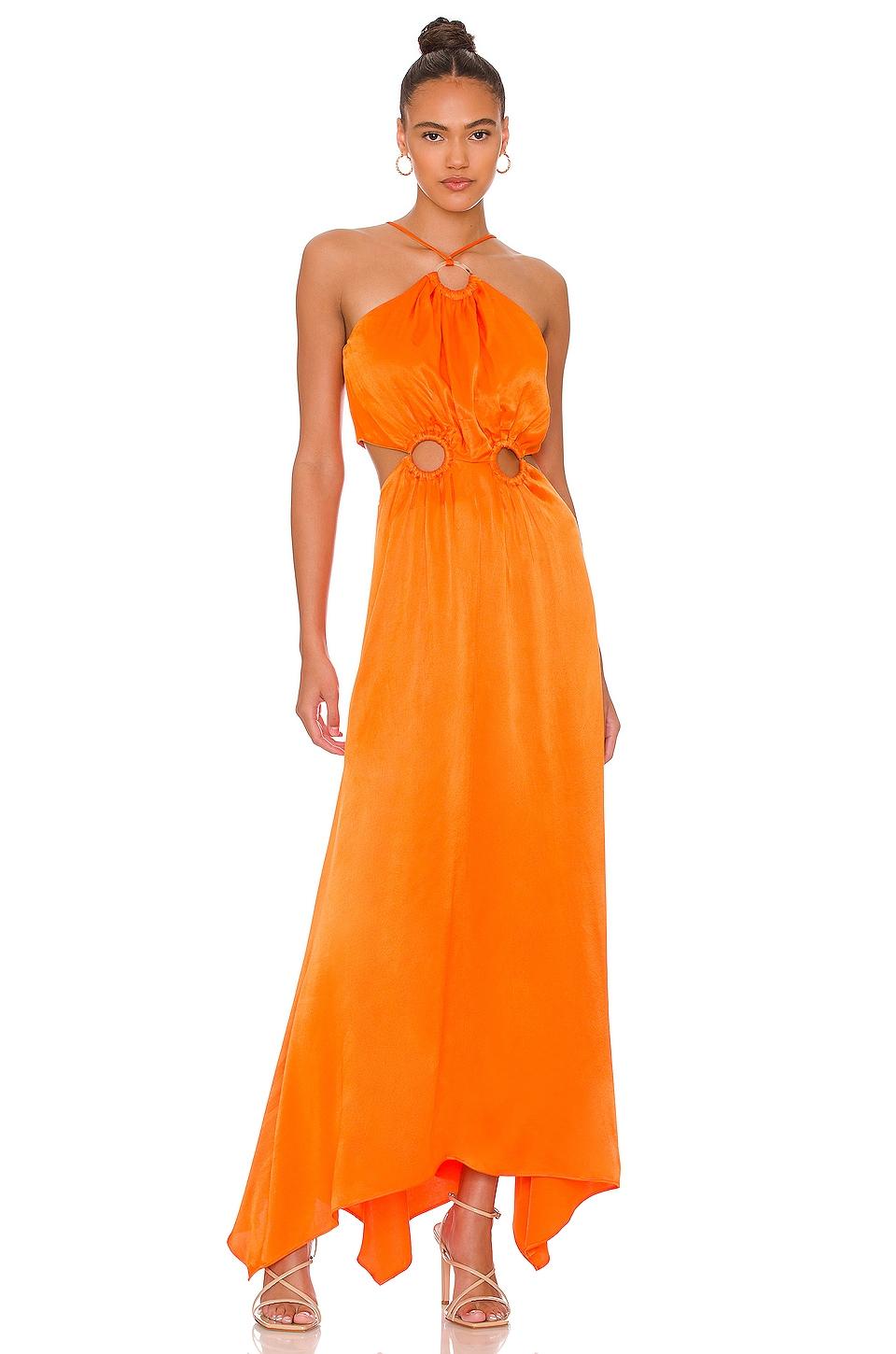 visitant maxi dress