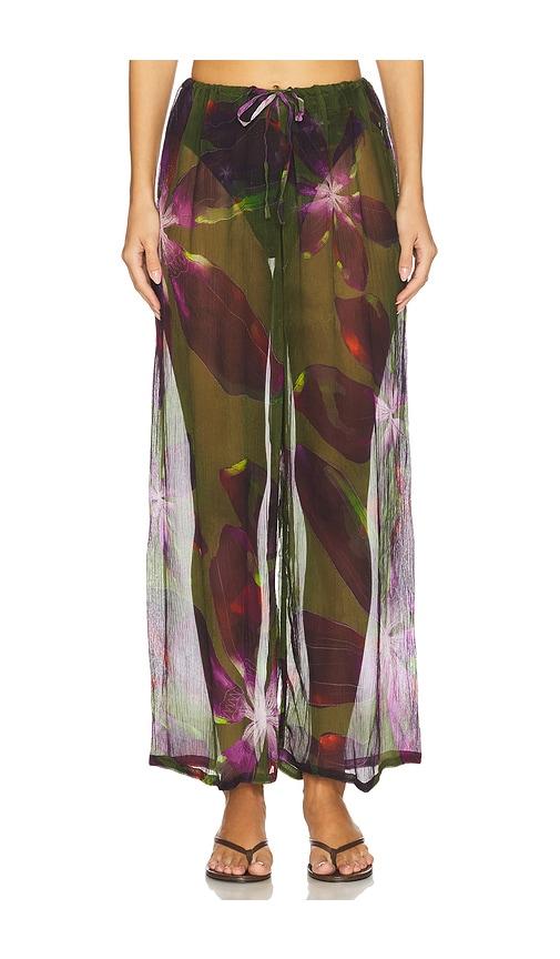 vitamin a petra pant.