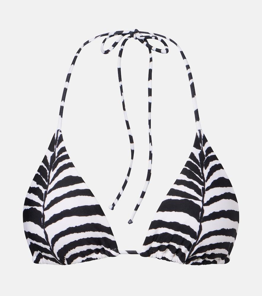 vix paula hermanny tri zebra