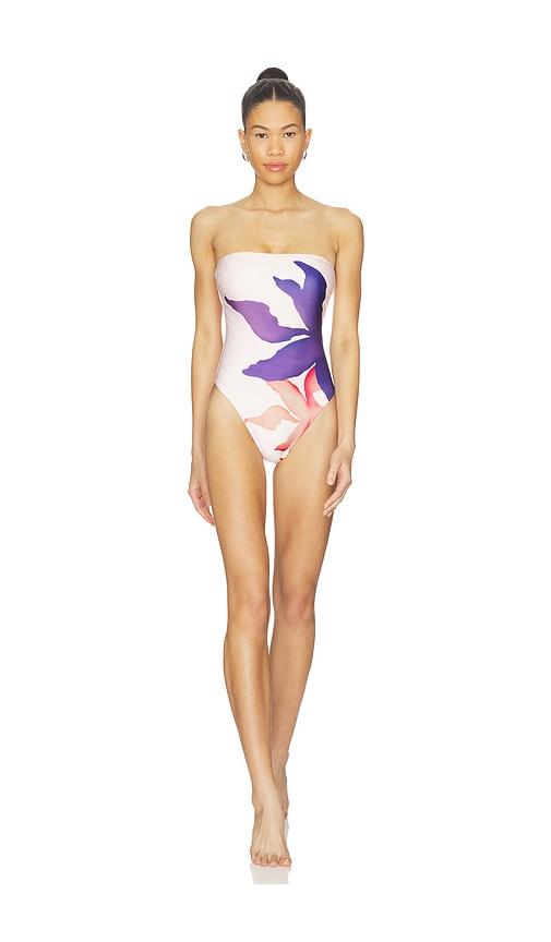 vix swimwear bianca brazilian one piece in rose,purple.