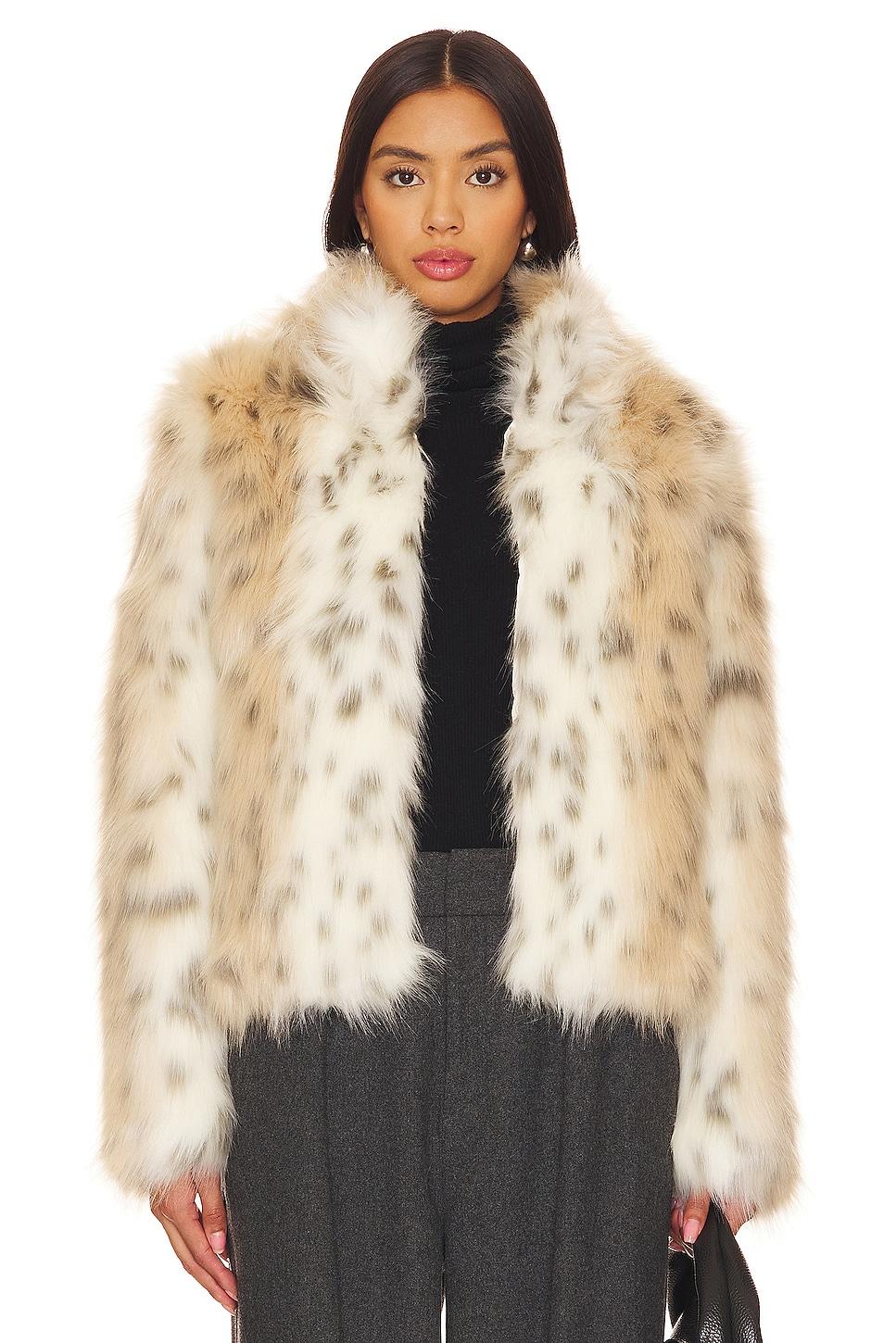 wild dream jacket