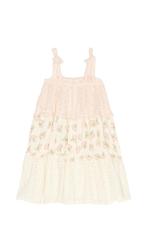 wild wawa amber dress in blush.