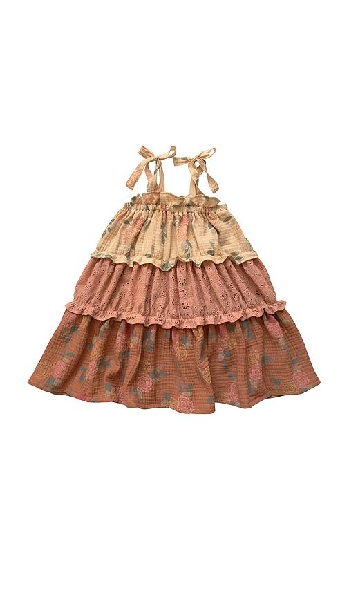 wild wawa amber dress in brown.