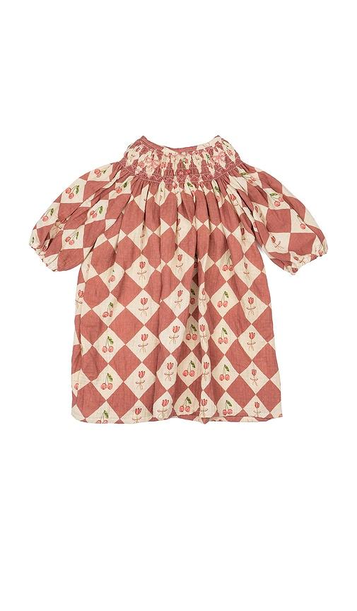 wild wawa clara dress in burnt orange.