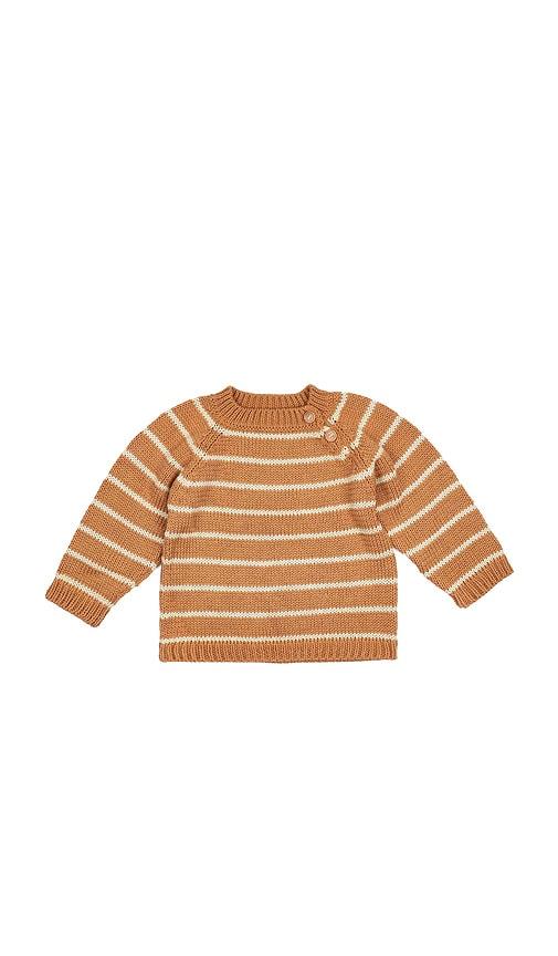wild wawa stripe crew neck sweater in orange.