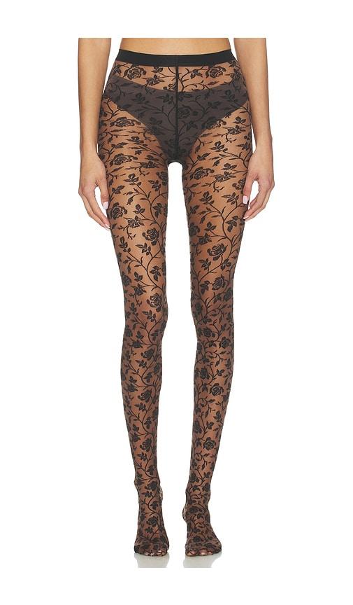 wolford rose tights in brown,black.