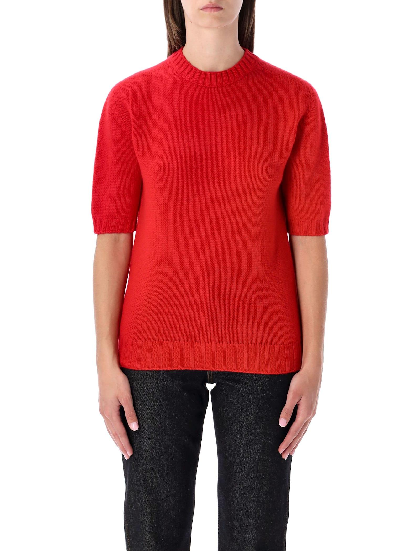 wool short sleeve sweater fabiana filippi