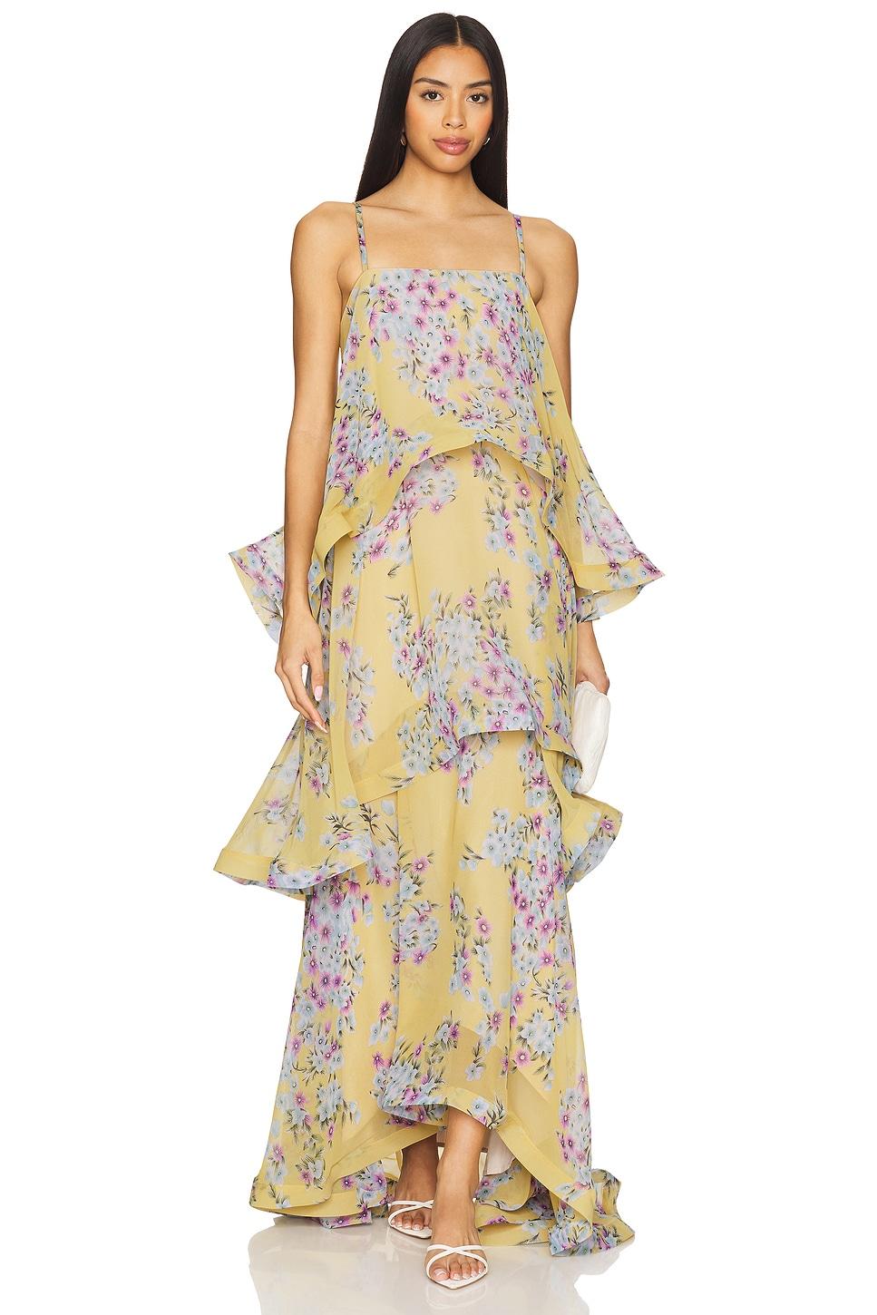 x revolve armani maxi dress
