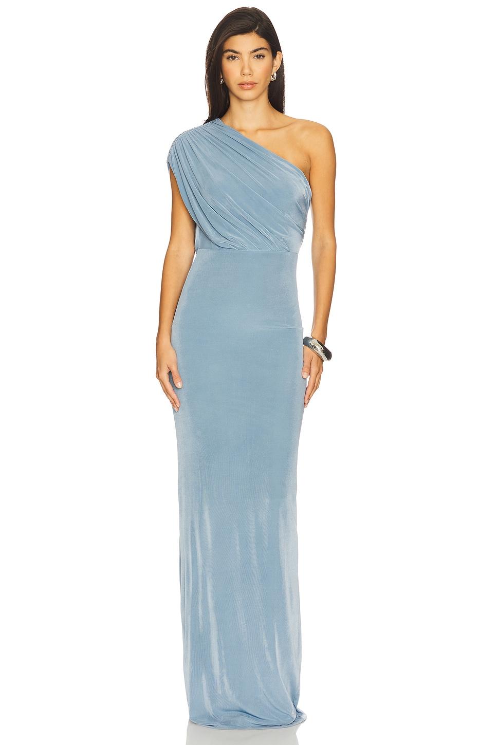 x revolve cabra maxi dress