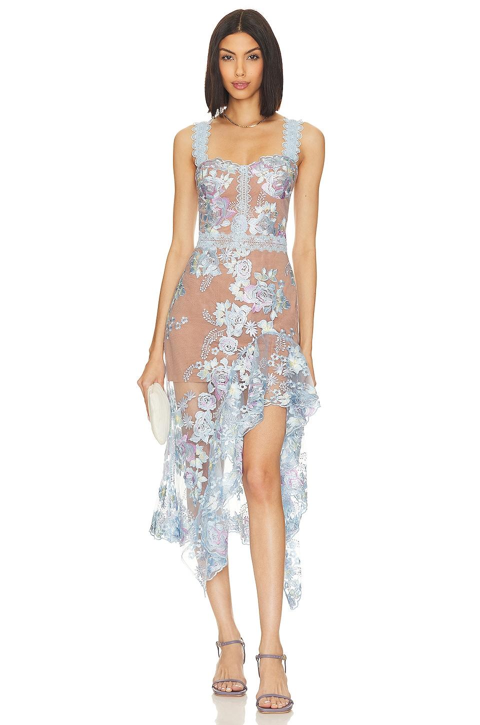 x revolve eva midi dress