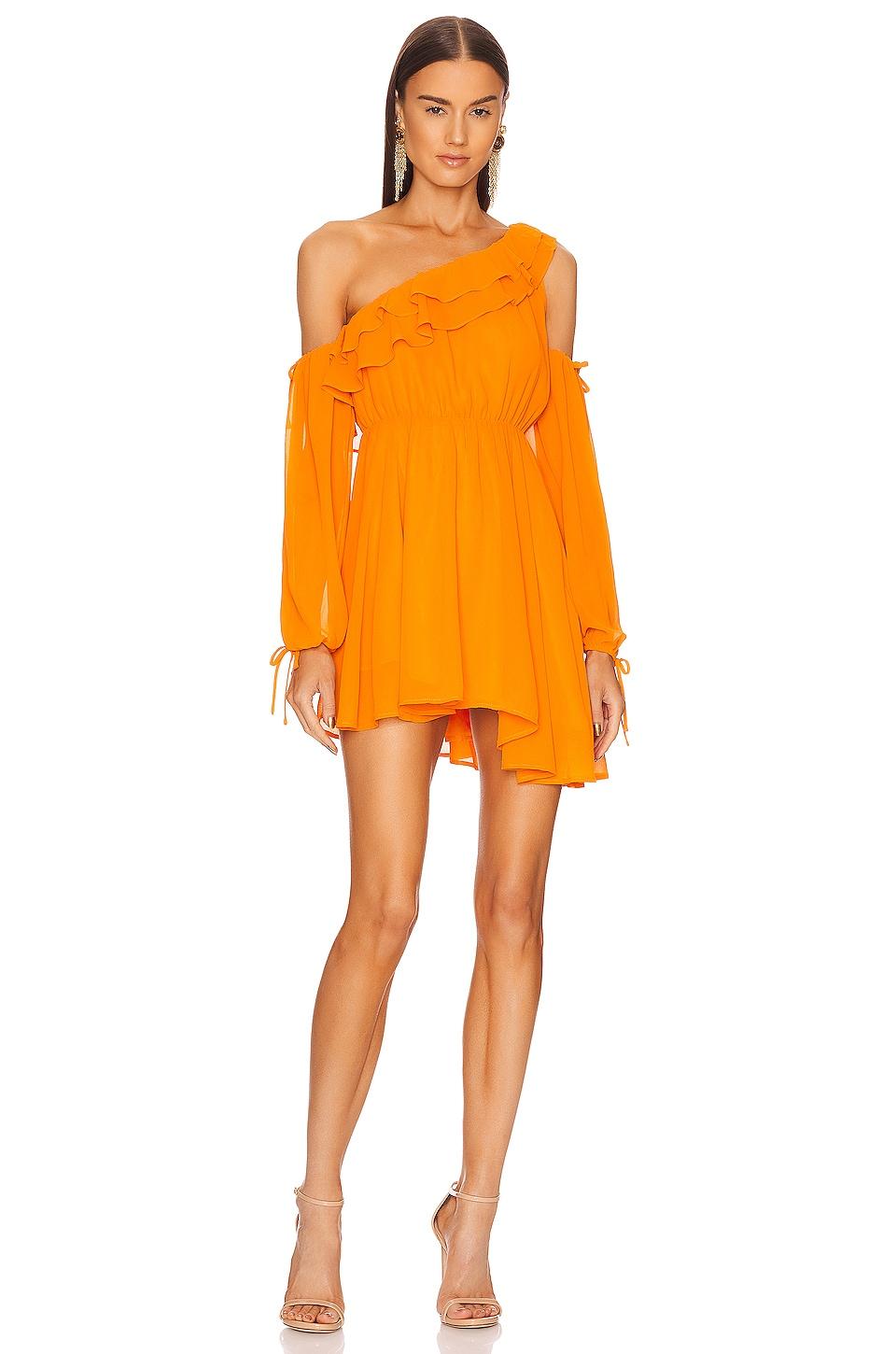 x revolve everett mini dress