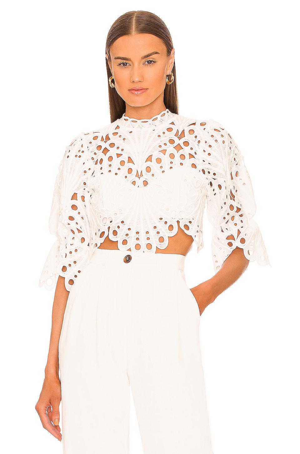 x revolve jovani crop top