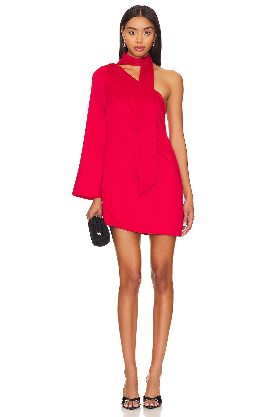 x revolve leighton mini dress