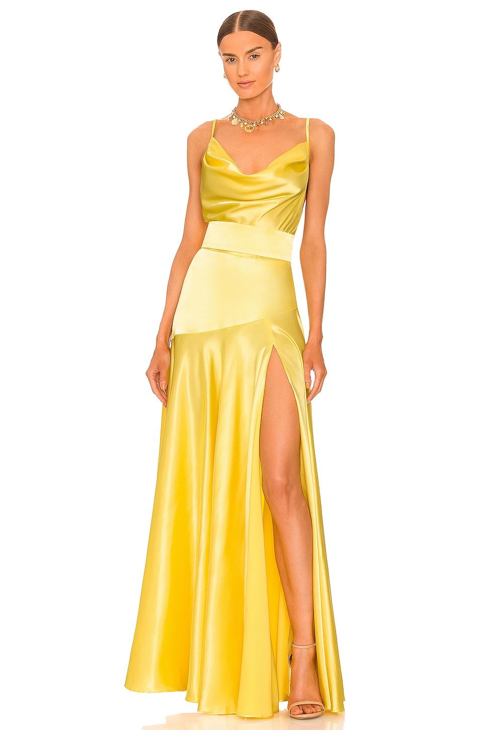 x revolve maxi dress