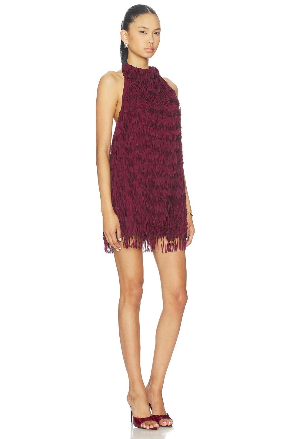 x revolve raffaella fringe dress