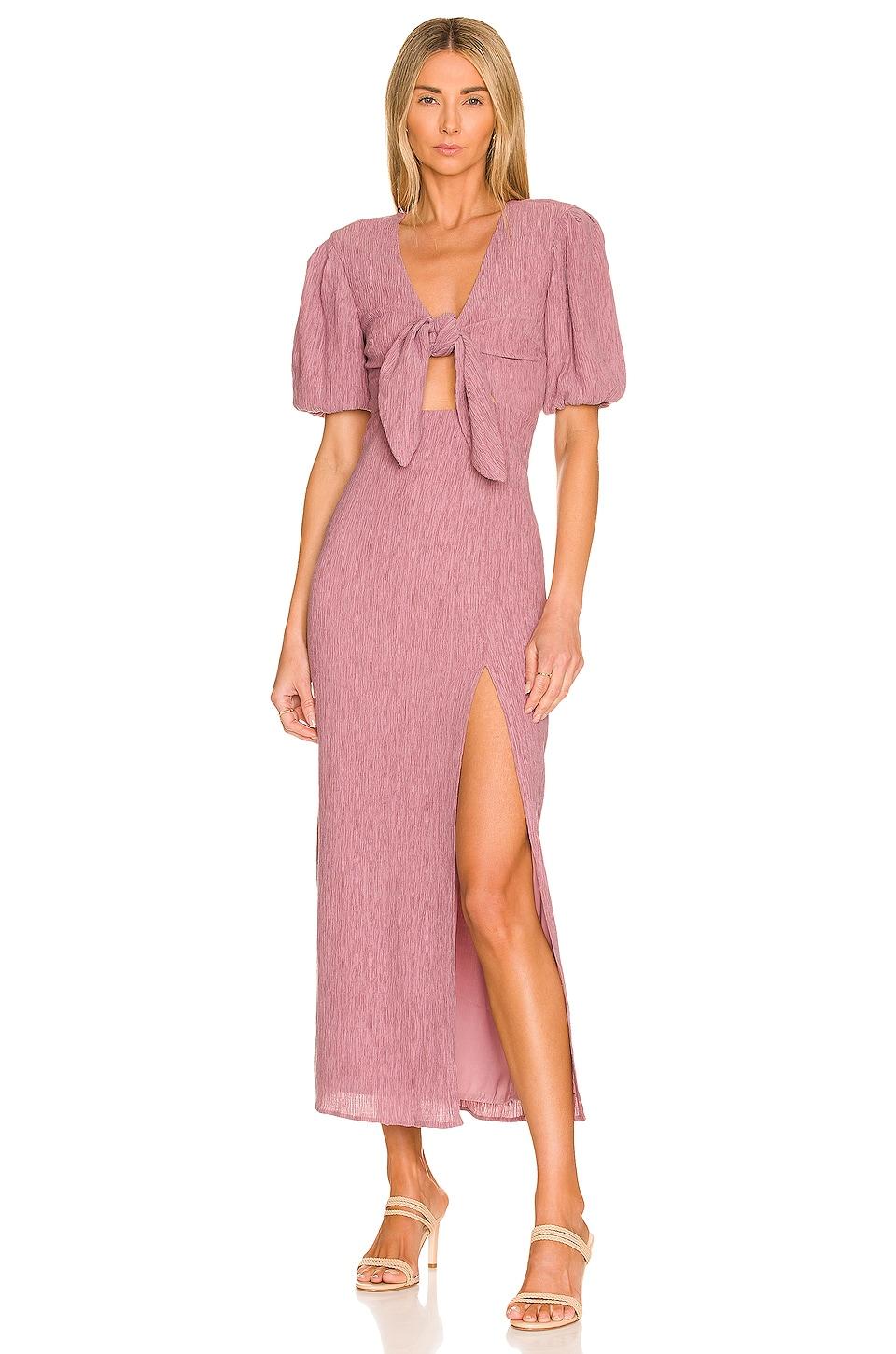 x revolve vincenza dress