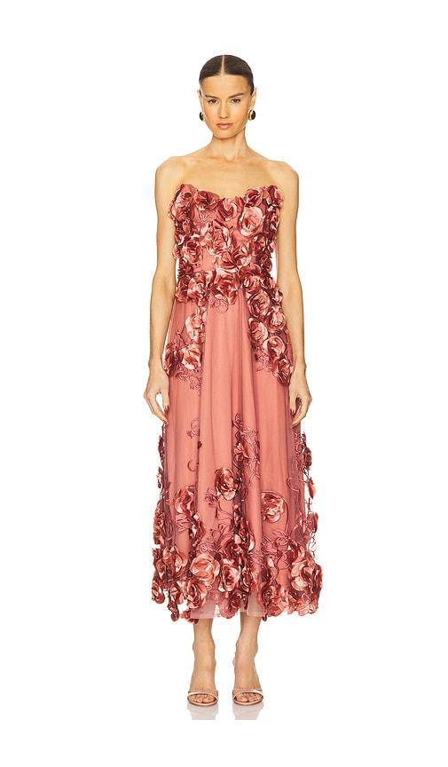 zhivago aonia dress in rose.