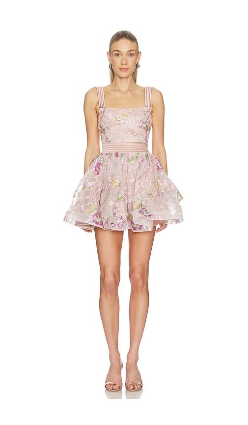 zhivago the bertolini mini dress in nude.